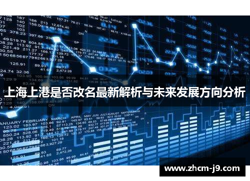 上海上港是否改名最新解析与未来发展方向分析