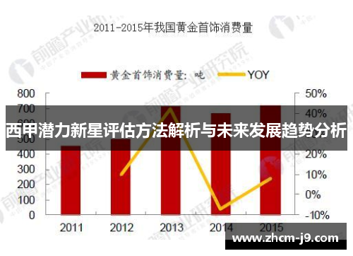 西甲潜力新星评估方法解析与未来发展趋势分析